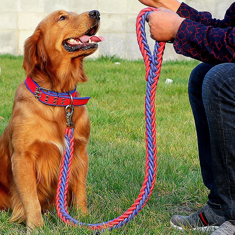犬首輪 丈夫なナイロン編み込み太め首輪とリードセット