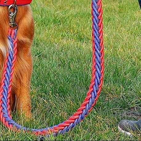 犬首輪 丈夫なナイロン編み込み太め首輪とリードセット