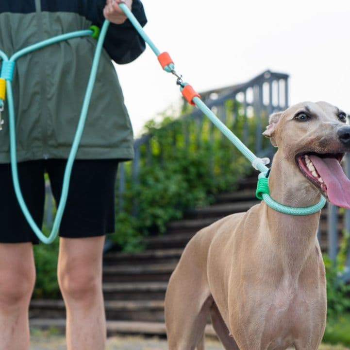 犬首輪 多頭引き対応編み込みロープ犬首輪とリードセット