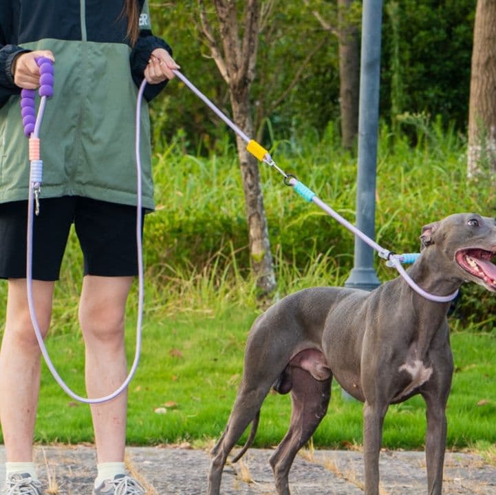 犬首輪 多頭引き対応編み込みロープ犬首輪とリードセット