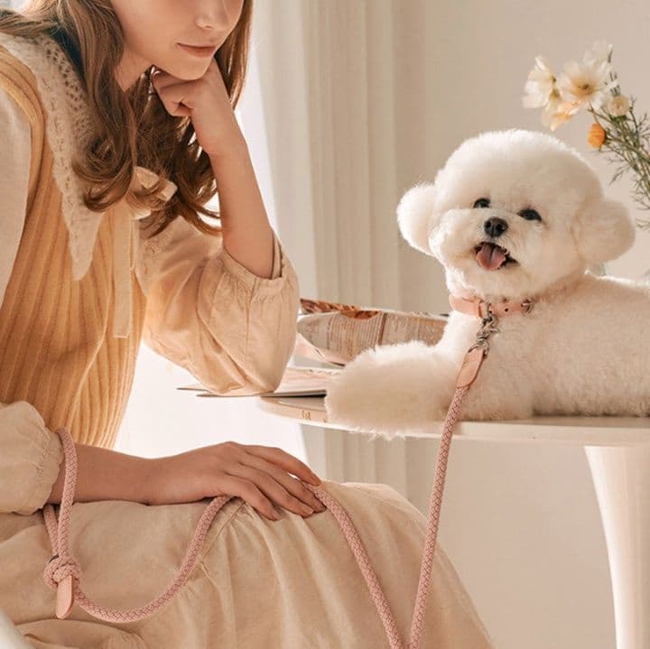犬首輪 上品な編み込みデザイン犬首輪とリードセット