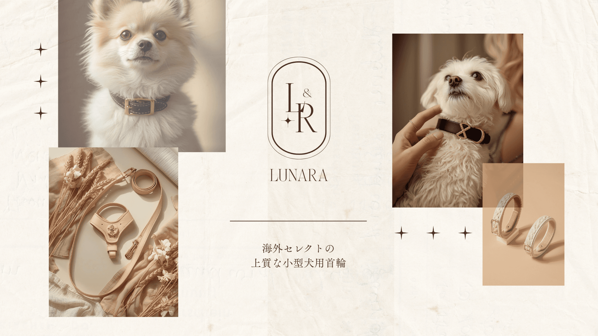 おしゃれな小型犬用首輪