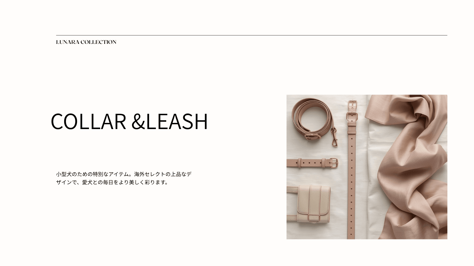 おしゃれな小型犬用首輪