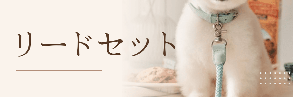 リードセット