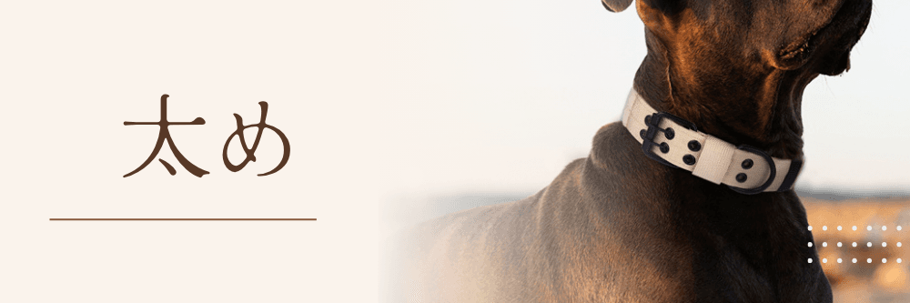 太め