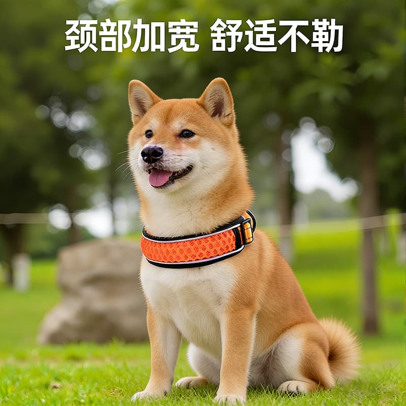 夜間安全反射帯付き光る犬首輪