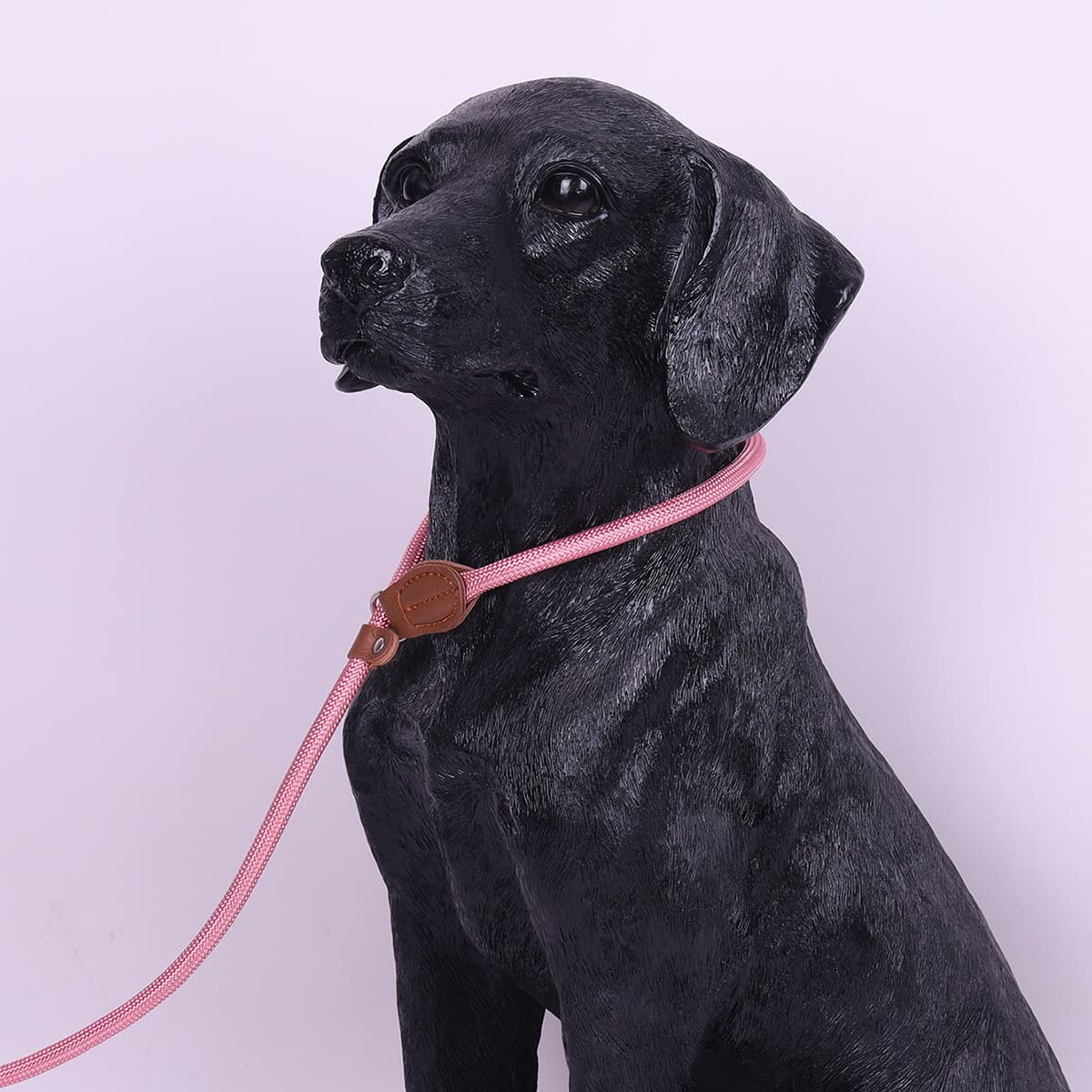 犬首輪 編み込みロープと本革パーツの犬首輪とリードセット