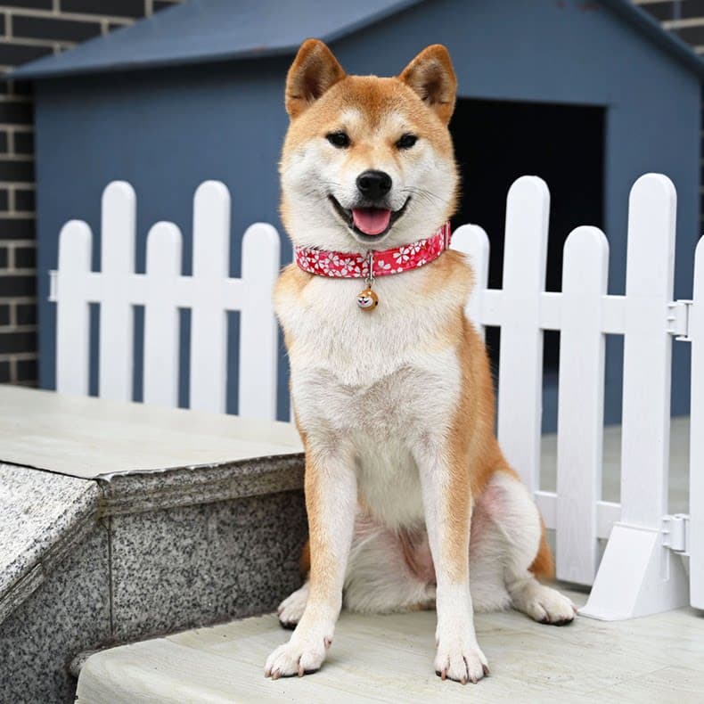 犬首輪 和風唐草模様の軽量犬首輪ベル付き