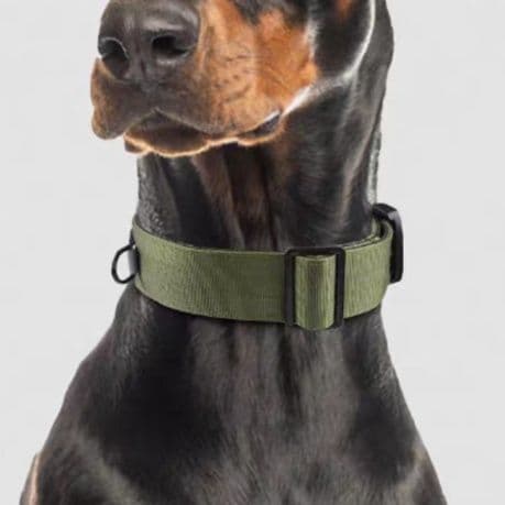 犬首輪 戦術仕様クッション付き太め犬首輪
