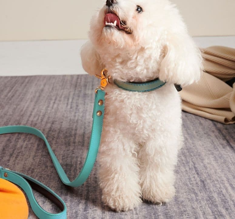 犬首輪 本革二重仕立て上質犬首輪金具付き