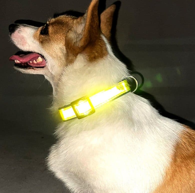 犬首輪 夜間反射帯付き光る安全犬首輪