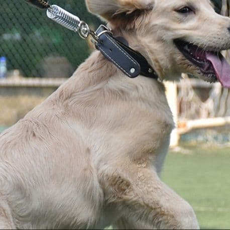 編み込み本革スタッズ付き犬首輪とリードセット