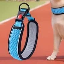 犬首輪 反射材付き太めメッシュ構造犬首輪