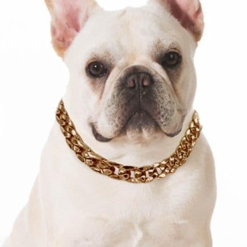 犬首輪 高級感溢れる太幅喜平チェーン犬首輪