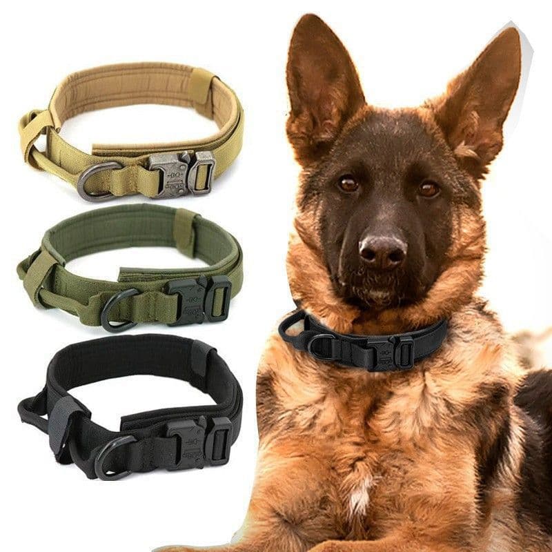犬首輪 戦術仕様クッション付き太め犬首輪