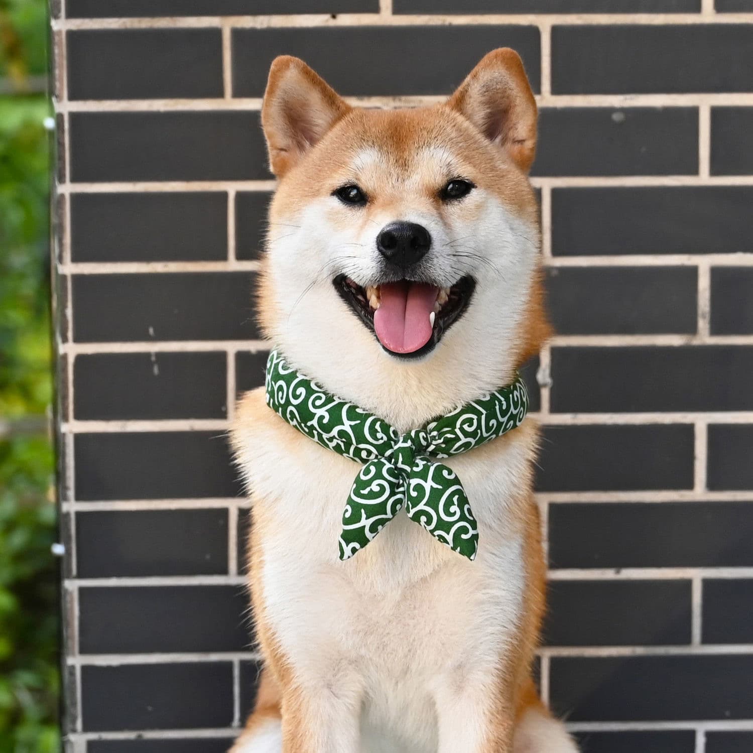 和風唐草模様のスカーフ風犬首輪バンダナ