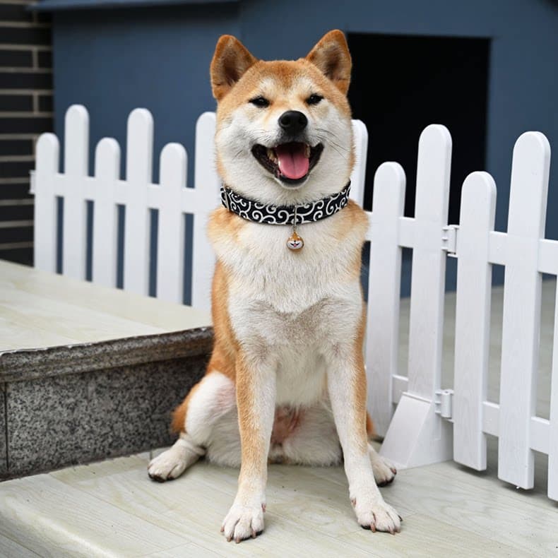 犬首輪 和風唐草模様の軽量犬首輪ベル付き