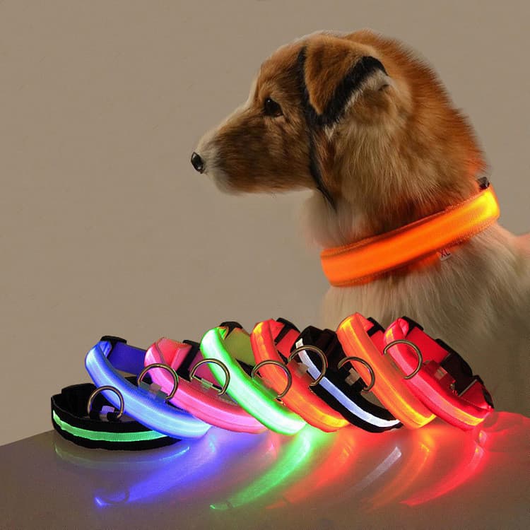 USB充電式 夜間安全LED発光式犬首輪