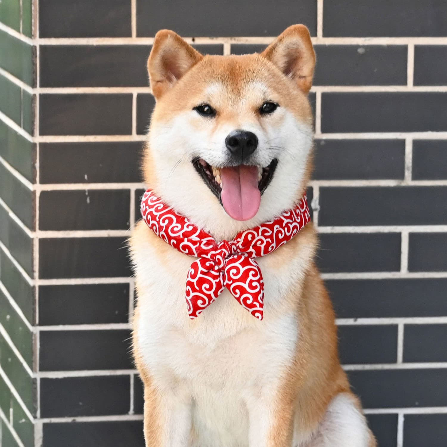 和風唐草模様のスカーフ風犬首輪バンダナ